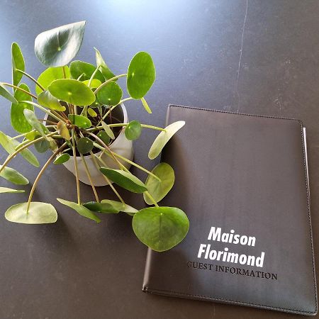 Maison Florimond Nieuwpoort Kültér fotó
